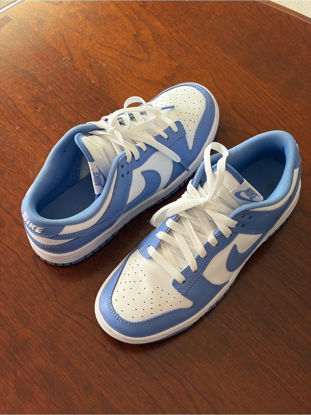 Nike Dunk Low Retro Polar Blue